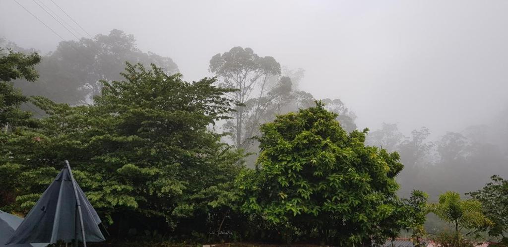 The Grand Bandarawela Hotel Buitenkant foto